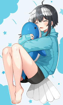 1girl barefoot black_hair black_shorts blue_hair blue_hoodie blush closed_eyes feathered_wings feet full_body hair_between_eyes head_wings highres hood hood_down hoodie hugging_object indie_virtual_youtuber knees_up kurata_rine kurata_rine_(vtuber) long_sleeves multicolored_hair open_mouth puffy_long_sleeves puffy_sleeves saliva shorts sleeves_past_wrists solo stuffed_whale toenails toes two-tone_hair virtual_youtuber white_wings wings