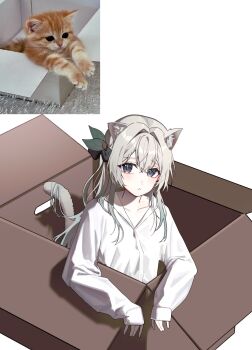 13_(jjusan13) 1girl :&lt; animal_ears black_ribbon blush box cat_ears cat_tail closed_mouth firefly_(honkai:_star_rail) green_pupils grey_hair hair_between_eyes hair_intakes hair_ornament hair_ribbon highres honkai:_star_rail honkai_(series) long_sleeves multicolored_eyes on_box ribbon shirt simple_background solo tail white_background white_shirt white_sleeves