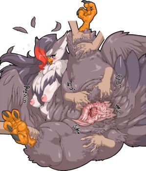 Rule 34 | bird, blush, breasts, cloaca, feathers, furry, gen 4 pokemon, medium breasts, multicolored hair, nezunezu, nintendo, plump, pokemon, pokemon (creature), pussy, pussy juice, source request, spread pussy, staraptor, sweat, uncensored