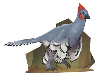 absurdres anchiornis animal_focus beak combos_&amp;_doodles feathered_wings grey_feathers highres no_humans original rock simple_background solo white_background wings