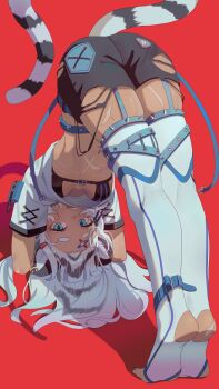 1girl animal_ear_fluff animal_ears ass bandaid bandaid_on_face bandaid_on_forehead bikini black_bikini black_hair black_shorts blue_eyes blue_nails blush breasts crop_top dark-skinned_female dark_skin ear_piercing garter_straps highres long_hair looking_at_viewer medium_breasts multicolored_hair nail_polish original piercing red_background scar scar_on_arm scar_on_stomach shadow shirt short_shorts short_sleeves shorts simple_background snow_leopard_ears snow_leopard_girl snow_leopard_tail solo stirrup_legwear swimsuit tail taressaa_(resapn) thighhighs toeless_legwear toenail_polish toenails top-down_bottom-up torn_clothes torn_shorts white_hair white_thighhighs