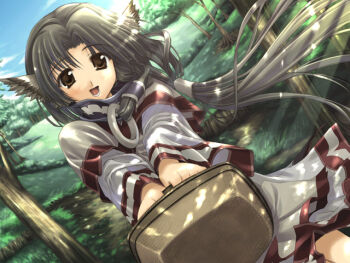 1girl amazuyu_tatsuki animal_ears basket brown_eyes brown_hair dappled_sunlight day dutch_angle eruruu female_focus field floating_hair forest game_cg hair_tubes holding japanese_clothes layered_sleeves leaf_(studio) looking_at_viewer nature official_art open_mouth sky solo sunlight tree utawarerumono