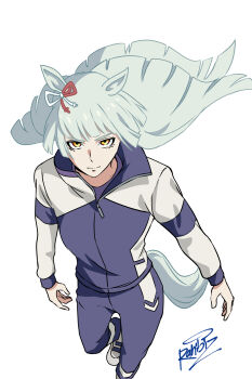 1girl absurdres animal_ears bow closed_mouth ear_ribbon fujimasa_march_(umamusume) grey_hair highres horse_ears horse_girl horse_tail jacket kasamatsu_tracen_training_uniform long_hair long_sleeves looking_at_viewer multicolored_jacket pants purple_jacket purple_pants purple_track_suit rahibizzz simple_background solo tail track_jacket track_pants track_suit two-tone_jacket umamusume umamusume:_cinderella_gray white_background yellow_eyes