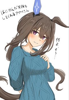 1girl admire_vega_(casual)_(umamusume) admire_vega_(umamusume) animal_ears blue_sweater blush breasts brown_hair casual disfiro03 ear_covers hair_between_eyes highres horse_ears horse_girl horse_tail jewelry long_hair long_sleeves looking_at_viewer low_ponytail medium_breasts necklace parted_lips ponytail purple_eyes simple_background single_ear_cover smile solo sweater tail umamusume upper_body white_background