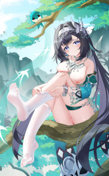 1girl absurdres adjusting_clothes adjusting_legwear anus aqua_bird aqua_sleeves bare_shoulders bird bird_hair_ornament black_hair blush breasts breasts_out censored chinese_commentary closed_mouth collarbone commentary_request day detached_sleeves fingernails genshin_impact hair_between_eyes hair_ornament hairband highres in_tree jndfh lan_yan_(genshin_impact) large_breasts large_variant_set light_smile long_hair looking_at_viewer mosaic_censoring nipples no_shoes outdoors pixiv_logo pixiv_username purple_eyes pussy sitting sitting_in_tree sitting_on_branch solo thighhighs tree variant_set very_long_hair white_hairband white_thighhighs