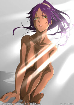 1girl all_fours artist_name bleach breasts crawling dark-skinned_female dark_skin female_focus grey_background hair_ornament hanging_breasts large_breasts long_hair looking_at_viewer nude parted_bangs ponytail purple_hair railtracer8888 shihouin_yoruichi shiny_skin simple_background yellow_eyes