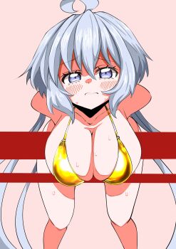 Rule 34 | 1girl, 9ma (9matohibari), absurdres, ahoge, arms behind back, bent over, bikini, blue eyes, blush, bob cut, breasts, cleavage, closed mouth, collarbone, commentary request, double-parted bangs, embarrassed, floating hair, gold bikini, golden week, grey hair, hair between eyes, halterneck, hanging breasts, highres, large breasts, long hair, looking at viewer, micro bikini, pink background, senki zesshou symphogear, sideboob, simple background, solo, sweatdrop, swimsuit, twintails, upper body, very long hair, yukine chris