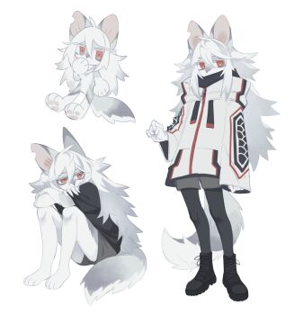 1other albino androgynous animal_ears animal_feet animal_hands black_boots black_shirt boots chibi commentary english_commentary fox_ears fox_tail furry grey_shorts highres jacket long_hair looking_at_viewer multiple_views neku_boo original other_focus red_eyes shirt shorts simple_background sitting standing streetwear tail very_long_hair white_background white_fur white_hair white_jacket