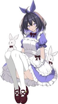 1girl ahoge alice&#039;s_adventures_in_wonderland alice_(alice_in_wonderland) alice_(alice_in_wonderland)_(cosplay) apron black_hair blue_dress blue_eyes blue_hair breasts brown_shoes colored_inner_hair commentary cosplay dress english_commentary highres honkai_(series) honkai_impact_3rd looking_at_viewer medium_breasts multicolored_hair panties seele_vollerei shoes short_hair simple_background solo stuffed_animal stuffed_toy thighhighs two-tone_hair underwear unifox0123 white_apron white_background white_panties white_thighhighs zettai_ryouiki