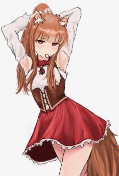 1girl absurdres animal_ear_fluff animal_ears armpits arms_up artist_name blunt_bangs blush breasts brown_hair brown_tail corset cowboy_shot detached_sleeves dress frilled_dress frills highres holo ky_(ky66622) looking_at_viewer mouth_hold neck_pouch ponytail red_dress red_eyes sidelocks simple_background sketch sleeveless sleeveless_dress small_breasts solo spice_and_wolf tail thighs twitter_username tying_hair white_background wolf_ears wolf_girl wolf_tail