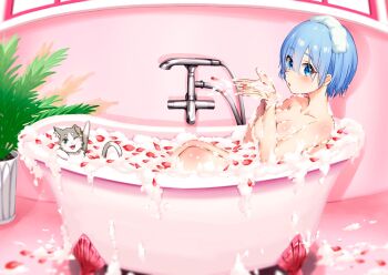 1girl bathing bathtub blue_eyes blue_hair blush breasts collarbone commentary convenient_censoring fangs from_side hair_between_eyes hands_up highres indoors knees_up large_breasts looking_at_viewer nude one_eye_closed open_mouth parted_lips partially_submerged petals plant potted_plant puck_(re:zero) re:zero_kara_hajimeru_isekai_seikatsu rem_(re:zero) short_hair soap_bubbles soap_censor tail_raised tarunyan towel towel_on_head water wet wet_hair window