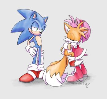 1girl 2boys amy_rose babysitter blonde_hair blue_fur blue_hair carrying carrying_person child dress fox fox_boy gloves hedgehog multiple_boys multiple_tails pink_fur pink_hair sega shoes sleeping smile socks sonic_(series) sonic_the_hedgehog spiked_hair tail tails_(sonic) two_tails vettelemdam yellow_fur