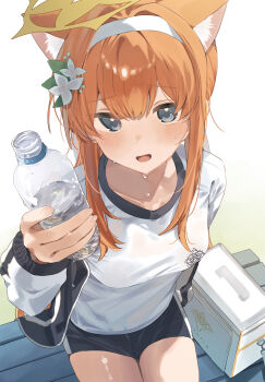 1girl absurdres animal_ear_fluff animal_ears black_jacket black_shorts blue_archive blush bottle cat_ears commentary_request first_aid_kit flower gym_shirt gym_uniform hair_flower hair_ornament halo headband higa_(gominami) highres incoming_object jacket jacket_partially_removed looking_at_viewer mari_(blue_archive) mari_(track)_(blue_archive) official_alternate_costume orange_hair shirt shorts sidelocks sitting smile solo sweat thighs track_jacket water_bottle white_headband