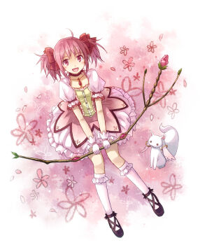 1girl ahoge black_footwear blush bow bow_(weapon) choker collarbone creature dress flower frilled_dress frilled_socks frills full_body gem gloves hair_bow highres holding holding_bow_(weapon) holding_weapon kaname_madoka kaname_madoka_(magical_girl) kneehighs kyubey looking_at_viewer magical_girl mahou_shoujo_madoka_magica mahou_shoujo_madoka_magica_(anime) open_mouth pink_bow pink_dress pink_eyes pink_flower pink_hair pink_theme puffy_short_sleeves puffy_sleeves red_gemstone short_sleeves short_twintails socks soul_gem twintails two-tone_dress weapon white_dress white_gloves white_socks yakka