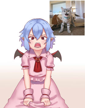 1girl ascot bat_wings blue_hair box brooch cardboard_box cat collar derivative_work door dress fangs frilled_shirt frilled_shirt_collar frilled_sleeves frills hair_between_eyes highres jewelry no_headwear no_headwear open_mouth photo-referenced photo_inset pink_dress pointy_ears puffy_short_sleeves puffy_sleeves red_eyes reference_inset reference_photo reference_work remilia_scarlet shirt short_hair short_sleeves simple_background skirt skirt_set touhou wings wrist_cuffs yoruny