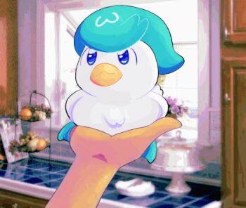 &gt;_&lt; :3 animal animal_focus animated animated_gif bird bird_on_hand blue_eyes cabin cake_dome cake_stand closed_mouth commentary counter drawer duck english_commentary flailing flower food fruit fruit_stand grapes holding holding_animal holding_bird holding_pokemon indoors kicking kitchen kyuuvern nintendo open_window orange_(fruit) pink_flower pokemon pokemon_(creature) pov pov_hands quaxly smear_frame solo_focus straight-on struggling tongue tongue_out webbed_feet window