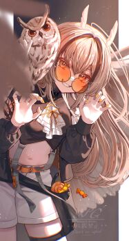 1girl absurdres ahoge animal animal_on_shoulder ascot belt belt_buckle bird black_shirt black_streaks blurry blurry_background breasts brown_eyes buckle candy claw_pose commentary_request cowboy_shot eyeshadow food grey_hair grin hair_between_eyes hair_over_shoulder halloween head_tilt highres huge_ahoge long_hair long_sleeves looking_at_viewer makeup medium_breasts midriff multicolored_hair navel orange_belt orange_eyeshadow orange_ribbon original outside_border owl owl_ears owl_girl partial_commentary pillarboxed ribbon satori_suzuha shirt short_shorts shorts smile solo standing streaked_hair sunglasses thigh_strap torn_clothes torn_shirt two-tone_hair very_long_hair watermark white_ascot white_shorts wrapped_candy yellow_nails
