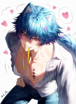 1boy animal_ears blue_hair blue_pants brant_(wuthering_waves) commentary_request dog_tail hat_feather heart highres male_focus mouth_hold naked_shirt nipples pants pectorals pink_eyes shirt solo tacet_mark_(wuthering_waves) tail white_shirt wuthering_waves xiaobailang