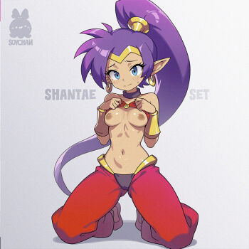 1girl artist_name bandeau bandeau_lift black_choker blue_eyes bracer breasts character_name choker closed_mouth clothes_lift commentary earrings english_commentary harem_pants hoop_earrings jewelry kneeling lifting_own_clothes long_hair looking_at_viewer medium_breasts navel nipples pants pointy_ears purple_hair red_bandeau red_pants shantae shantae_(series) solo soy-chan stomach very_long_hair white_background