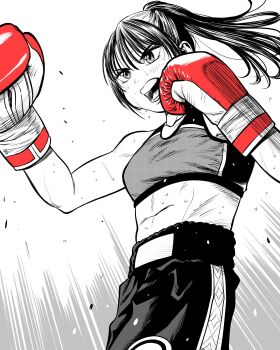 Rule 34 | 1girl, abs, boxing, boxing gloves, boxing shorts, breasts, commentary request, cowboy shot, flying sweatdrops, gloves, greyscale, high ponytail, highres, lee (dragon garou), monochrome, motion lines, mouth guard, open mouth, original, ponytail, punching, red gloves, serious, shorts, small breasts, solo, sports bra, spot color, sweat, very sweaty