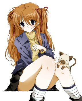 Rule 34 | 1girl, animal, animal on lap, bell, black skirt, blue eyes, blue jacket, blush, cat, closed mouth, denim, denim jacket, hair between eyes, hair ribbon, highres, jacket, jingle bell, kanon, long hair, long sleeves, looking at viewer, multiple girls, on lap, open clothes, open jacket, orange hair, piro, pleated skirt, red ribbon, ribbon, sawatari makoto, shirt, simple background, sitting, skirt, smile, socks, solo, striped clothes, striped socks, takanashi (takanya shi), turtleneck, turtleneck shirt, two side up, white background, yellow shirt