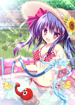 1girl :d bikini blush breasts brown_hat cleavage commentary_request day fang flower frilled_bikini frills front-tie_top grass hair_ornament hairclip hat hat_flower hat_ribbon highres holding holding_hose hose light_rays long_hair looking_at_viewer medium_breasts navel open_mouth original outdoors parallel_hairclips partially_submerged photoshop_(medium) polka_dot polka_dot_bikini purple_hair red_eyes revision ribbon rikatan rubber_duck shadow side-tie_bikini_bottom sitting smile solo splashing straw_hat sunbeam sunflower sunlight swimsuit teeth top_of_moe_2014 upper_teeth_only wading_pool wariza water watering_can yellow_flower