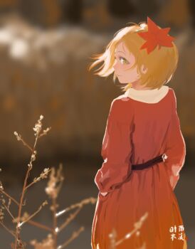 Rule 34 | 1girl, aki shizuha, blonde hair, blurry, blurry background, blurry foreground, commentary request, cowboy shot, dress, from behind, hair ornament, hands in pockets, leaf hair ornament, long dress, long sleeves, looking at another, looking at viewer, looking back, orange dress, outdoors, shi yu mu xi, short hair, solo, standing, touhou, turning head, yellow eyes