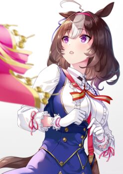 2girls @_@ ahoge akatsuki_(kuon) animal_ears bag between_breasts blue_dress blush bow breasts brown_hair cape commentary_request double-parted_bangs dress ear_ribbon gloves hair_between_eyes hairband headband horse_ears horse_girl horse_tail large_breasts long_sleeves meisho_doto_(turbulent_blue)_(umamusume) meisho_doto_(umamusume) multicolored_hair multiple_girls parted_lips pink_cape pink_hairband pink_headband purple_eyes shirt short_hair shoulder_bag simple_background solo_focus strap_between_breasts t.m._opera_o_(o_sole_suo!)_(umamusume) t.m._opera_o_(umamusume) tail two-tone_hair umamusume white_background white_gloves white_hair white_shirt