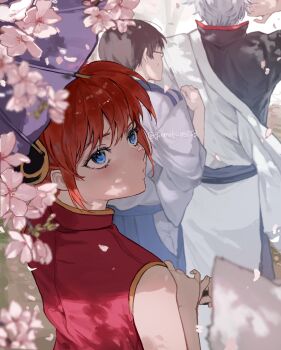 1girl 2boys black_hair blue_eyes bun_cover cherry_blossoms china_dress chinese_clothes closed_mouth dress falling_petals from_behind ginmokusei53 gintama hadanugi_dousa hair_bun highres holding holding_umbrella japanese_clothes kagura_(gintama) kimono looking_to_the_side multiple_boys oil-paper_umbrella open_kimono orange_hair outdoors parasol petal_on_nose petals purple_umbrella red_dress sakata_gintoki shimura_shinpachi short_hair sleeveless sleeveless_dress solo_focus spring_(season) twitter_username umbrella upper_body white_hair white_kimono