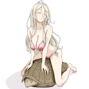 Rule 34 | 1girl, bad feet, bikini, blonde hair, breasts, hair between eyes, large breasts, long hair, make heroine ga oo sugiru!, pink bikini, riding, riding animal, ruri (ruri ), shikiya yumeko, side-tie bikini bottom, swimsuit, turtle, very long hair, white background, yellow eyes