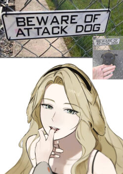 1boy 1girl animal baby_animal bare_shoulders biting biting_finger black_dress breasts brown_hair chain-link_fence character_request cleavage collarbone commentary_request copyright_request dog dress english_text eyes_visible_through_hair fence grey_eyes half-closed_eyes hong3_(giveme_ogn) korean_commentary long_hair looking_at_viewer medium_breasts parted_bangs photo-referenced pov pov_hands puppy reference_inset sign sleeveless sleeveless_dress smile upper_body warning_sign white_background