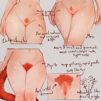 absurdres anatomy body_freckles cat_girl cat_tail clitoral_hood english_text female_pubic_hair final_fantasy final_fantasy_xiv freckles guide highres miqo'te multiple_views navel note nude orange_pubic_hair original pubic_hair pussy red_pubic_hair searyn sparse_pubic_hair spread_legs standing tail tess_lightman_(searyn) uncensored warrior_of_light_(ff14)