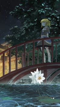 1girl absurdres black_sky blonde_hair bridge brown_shirt brown_skirt closed_mouth commentary_request expressionless flower full_body green_eyes highres kori_(pixiv_27692799) looking_afar mizuhashi_parsee night outdoors pointy_ears river scarf shirt short_hair short_sleeves skirt sky socks solo standing star_(sky) starry_sky touhou tree water white_flower white_scarf white_socks