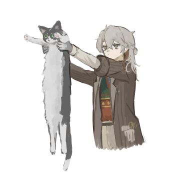 Rule 34 | 1other, animal, armpit carry, brown hair, brown jacket, cat, closed mouth, cropped torso, dot mouth, green vest, grey hair, highres, holding, holding animal, holding cat, jacket, longcat (meme), looking at animal, medicine pocket, medicine pocket (the cosmos photographer), medium hair, meme, multicolored hair, official alternate costume, outstretched arms, red vest, reverse:1999, sleeve rolled up, solo, sweater vest, towano (0qjftwn), two-tone hair, two-tone vest, upper body, vest, white background, yellow eyes