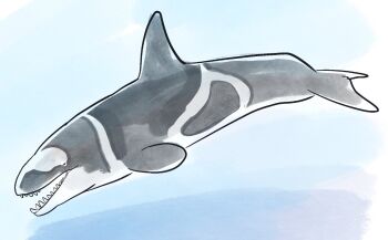 Rule 34 | animal, j stocky, no humans, ocean, orca, sea creature, speculative evolution, whale