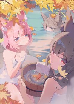 3girls absurdres ahoge animal_ears autumn_leaves bathing blowing_bubbles blue_archive blue_eyes brown_hair bucket bucket_of_water commentary_request falling_leaves food fox_ears fox_girl fruit green_eyes halo highres leaf looking_back mouth_submerged mouth_under_water multiple_girls niko_(blue_archive) onsen orange_(fruit) otogi_(blue_archive) partially_submerged pink_hair red_eyes rock smile teoskyrios towel water wet wooden_bucket yukino_(blue_archive)