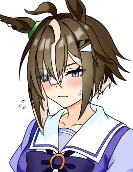 Rule 34 | 1girl, ahoge, animal ears, blue eyes, blush, bow, bowtie, closed mouth, collarbone, commentary request, ear ornament, eyes visible through hair, flying sweatdrops, grey hair, hair over one eye, highres, horse ears, horse girl, looking at viewer, multicolored hair, portrait, purple bow, purple bowtie, purple shirt, rulership (umamusume), school uniform, shirt, short hair, sidelocks, simple background, smapy sumataku, solo, streaked hair, summer uniform, sweat, tracen school uniform, umamusume, v-shaped eyebrows, white background