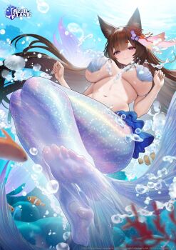 1girl air_bubble amagi_(azur_lane) amagi_(cv)_(azur_lane) amagi_(cv)_(the_mermaid_of_the_emerald_sea)_(azur_lane) animal_ear_fluff animal_ears artist_request azur_lane bikini breasts bright_pupils brown_hair bubble cleavage closed_mouth clownfish colored_eyelashes commentary copyright_name coral day english_commentary fish flower fox_ears full_body hair_flower hair_ornament highres jewelry large_breasts long_hair looking_at_viewer mermaid_costume navel necklace official_art promotional_art purple_eyes shell shell_bikini smile solo swimsuit thick_eyebrows underwater