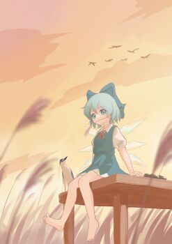 1girl barefoot bird blue_eyes blue_hair blue_skirt bow cirno cloud cloudy_sky commentary_request dated_commentary detached_wings dock dusk fairy feet flock from_below from_side grass hair_bow heron highres ice ice_wings lbcirno9 looking_at_viewer mouth_hold orange_sky outdoors scenery short_hair sitting skirt sky soles solo stalk_in_mouth toes touhou wide_shot wings