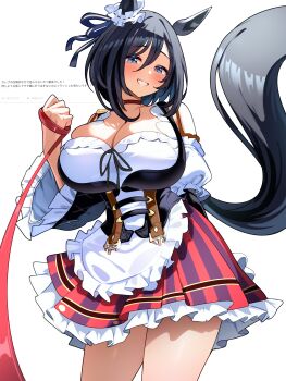 Rule 34 | 1girl, absurdres, animal ears, apron, bare shoulders, black hair, blue eyes, bob cut, breasts, choker, cleavage, ear ornament, ear scrunchie, eishin flash (umamusume), german clothes, hair between eyes, highres, holding, horse ears, horse girl, horse tail, large breasts, long sleeves, looking at viewer, medium hair, odaibako, red choker, scrunchie, simple background, skirt, smile, smoke klll, solo, striped clothes, striped skirt, tail, umamusume, vertical-striped clothes, vertical-striped skirt, waist apron, white apron, white background, white scrunchie