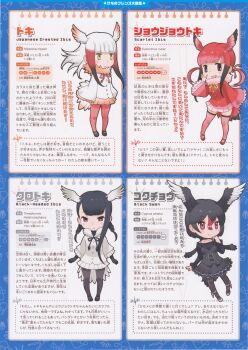 4girls black-headed_ibis_(kemono_friends) black_swan_(kemono_friends) full_body japanese_crested_ibis_(kemono_friends) kemono_friends kemono_friends_2 looking_at_viewer multiple_girls official_art scarlet_ibis_(kemono_friends) simple_background yoshizaki_mine