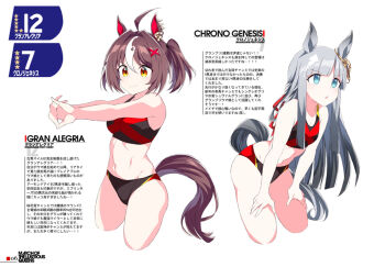 2girls ahoge animal_ears bare_shoulders bikini black_bikini blue_eyes blunt_bangs breasts brown_eyes brown_hair chrono_genesis_(umamusume) closed_mouth commentary_request gran_alegria_(umamusume) grey_hair hair_between_eyes hair_ornament horse_ears horse_girl horse_tail long_hair medium_breasts multicolored_hair multiple_girls navel parted_lips shigino_sohuzi small_breasts smile sports_bikini stomach stretching swimsuit tail umamusume x_hair_ornament