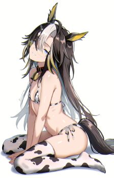 1girl alternate_costume animal_ears animal_print bell bikini blue_eyes brown_hair commentary_request cow_print cow_print_bikini cow_print_thighhighs cowbell dream_journey_(umamusume) flat_chest glasses hair_between_eyes highres horse_ears horse_girl horse_tail long_hair looking_at_viewer multicolored_hair navel neck_bell print_bikini print_thighhighs sitting solo swimsuit tail thighhighs twitter_username two-tone_hair umamusume urururike white_bikini white_thighhighs