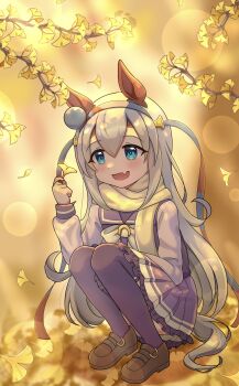 1girl absurdres animal_ears autumn blue_eyes blue_hairband blush bow bowtie ear_covers ear_ornament fang fangs ginkgo_tree grey_hair grey_tail hair_between_eyes hairband headband highres horse_ears horse_girl horse_tail leaf long_hair long_sleeves open_mouth purple_sailor_collar purple_serafuku purple_shirt purple_skirt purple_thighhighs red_headband sailor_collar sailor_shirt school_uniform serafuku shirt shoes skin_fangs skirt smile solo squatting striped_clothes striped_hairband tail tamamo_cross_(umamusume) thighhighs tracen_school_uniform umamusume user_njyp2785 very_long_hair white_bow white_bowtie
