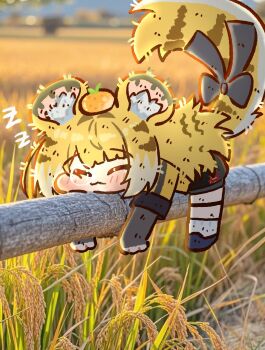 1girl ^3^ animal_ear_fluff animal_ears blonde_hair bluebird_(leh951025) blush chibi chibi_only commentary_request day food food_on_head fruit highres ju_fufu lying nose_bubble object_on_head on_stomach orange_(fruit) outdoors photo-referenced photo_background rice_(plant) sleeping solo tail tiger_ears tiger_girl tiger_tail zenless_zone_zero zzz