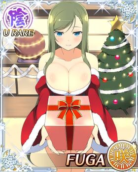 blue_eyes border box breasts breasts_squeezed_together card_(medium) character_name christmas christmas_tree cleavage dress english_text fuga_(senran_kagura) fur-trimmed_dress fur_trim game_cg gift gift_box green_hair holding holding_gift incoming_gift japanese_clothes kimono large_breasts light_blush long_hair looking_at_viewer merry_christmas mole mole_under_eye official_alternate_costume official_art parted_lips red_dress red_kimono santa_costume santa_dress senran_kagura senran_kagura_new_wave smile standing swept_bangs