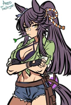 1girl absurdres aggytachyon agnes_tachyon_(lunatic_lab)_(umamusume) agnes_tachyon_(umamusume) agnes_tachyon_(umamusume)_(cosplay) animal_ears artist_name bandaid bandaid_on_face bandaid_on_nose bikini black_gloves black_hair blue_shorts blunt_ends breasts brown_eyes cleavage commentary cosplay cowboy_shot crossed_arms denim denim_shorts ear_ornament english_commentary fingerless_gloves gloves green_jacket groin halterneck highres horse_ears horse_girl horse_tail jacket long_hair looking_at_viewer medium_breasts mouth_hold narita_brian_(umamusume) ponytail pouch purple_bikini rope shimenawa shorts sidelocks simple_background solo stalk_in_mouth standing swimsuit tail tied_jacket umamusume v-shaped_eyebrows white_background