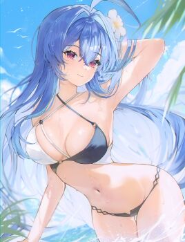 1girl absurdres ahoge azur_lane bikini blue_hair blush breasts cleavage closed_mouth flower gurami_(zangizarang) hair_flower hair_ornament helena_(azur_lane) helena_(shimmering_triangle_wave)_(azur_lane) highres long_hair looking_at_viewer medium_breasts multicolored_bikini navel official_alternate_costume outdoors purple_eyes smile solo swimsuit two-tone_bikini very_long_hair white_bikini white_flower