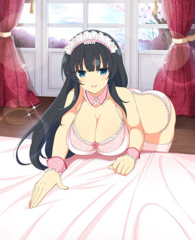 1girl alternate_costume bare_shoulders bed bed_sheet black_hair blue_eyes blunt_bangs blush bra breasts cherry_blossoms cleavage collar collarbone curtains detached_collar enmaided flower flower_bra frilled_bra frilled_panties frills hair_flower hair_ornament hanging_breasts hime_cut ikaruga_(senran_kagura) indoors large_breasts leaning_forward lens_flare long_hair looking_at_viewer maid maid_headdress official_art open_mouth panties parted_lips pink_bra pink_collar pink_flower pink_panties pink_thighhighs pink_wrist_cuffs senran_kagura senran_kagura_new_wave senran_kagura_shoujo-tachi_no_shin&#039;ei smile solo sparkle standing teeth thighhighs tree underwear upper_teeth_only very_long_hair window wooden_floor wrist_cuffs