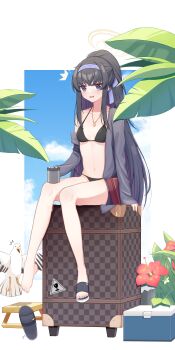 1girl absurdres bikini bird black_bikini black_hair blue_archive blue_eyes box breasts chinese_commentary colored_inner_hair commentary_request flower full_body halo hibiscus highres jewelry jing_(947728534) long_hair looking_at_viewer multicolored_hair necklace official_alternate_costume open_mouth palm_tree ponytail purple_hair sandals seagull single_bare_foot sitting small_breasts solo swimsuit tree ui_(blue_archive) ui_(swimsuit)_(blue_archive) yellow_halo